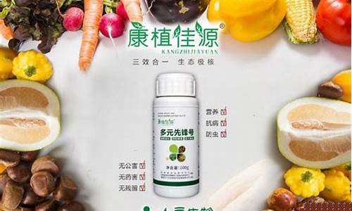 2024菠菜论坛:白